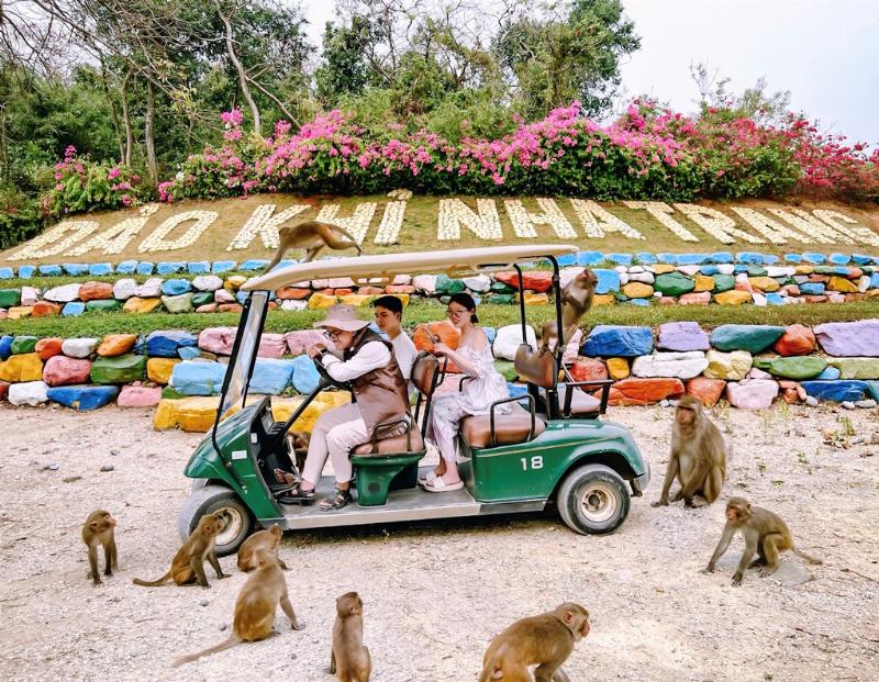 Du khách tương tác cẩn thận và vui vẻ với đàn khỉ tinh nghịch trong môi trường tự nhiên